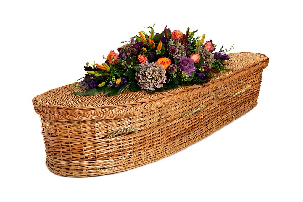 Willow Curved Coffin